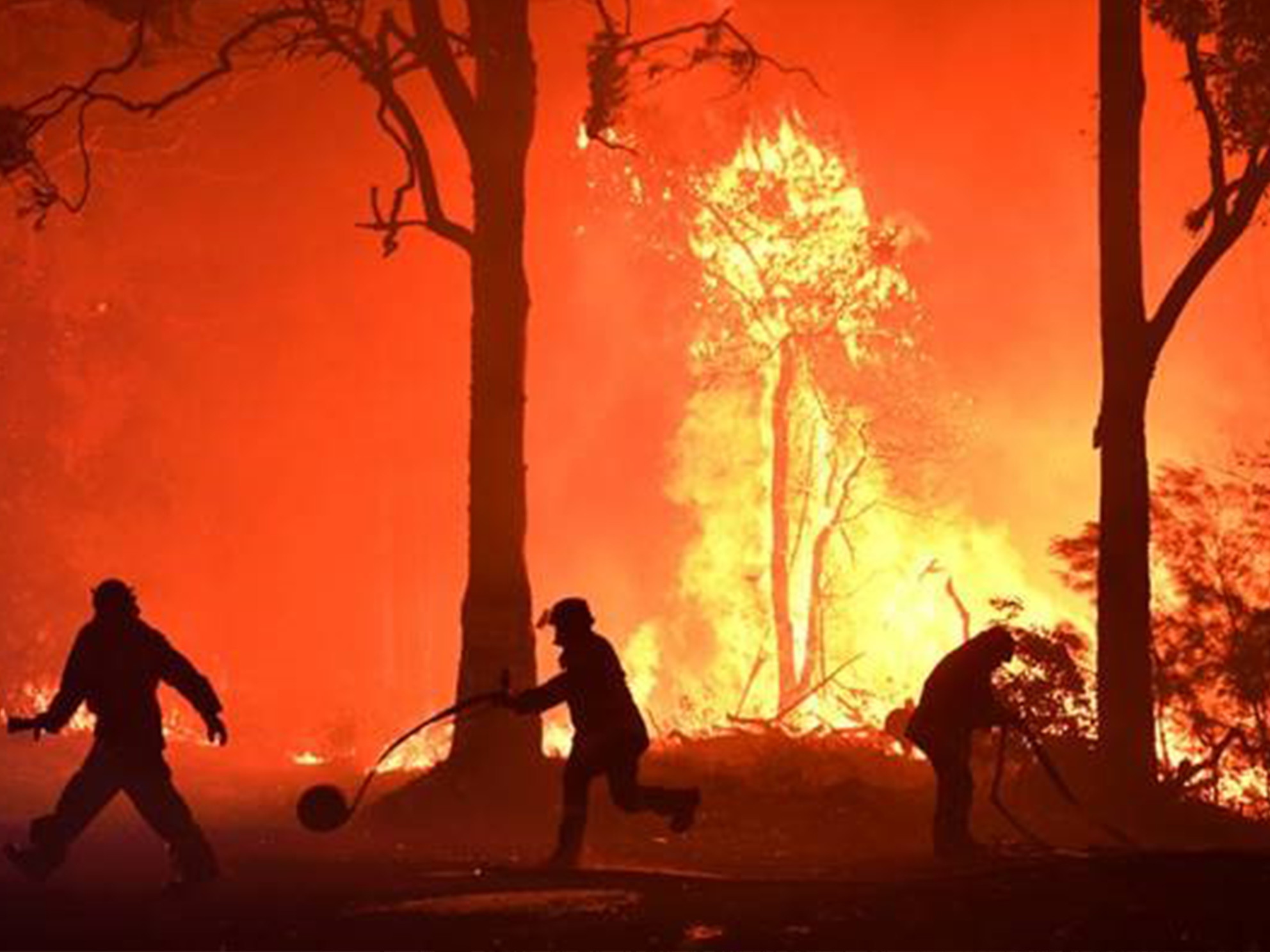 Australian Firefighters battling a blaze. Photo provided by PBS.org.