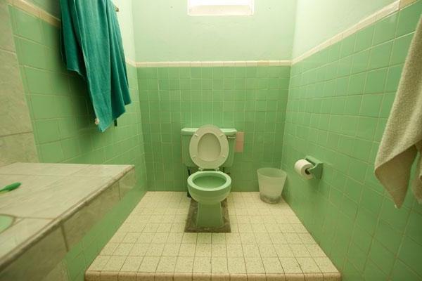 Green bathroom with toilet